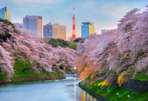 Best-IN-Japan